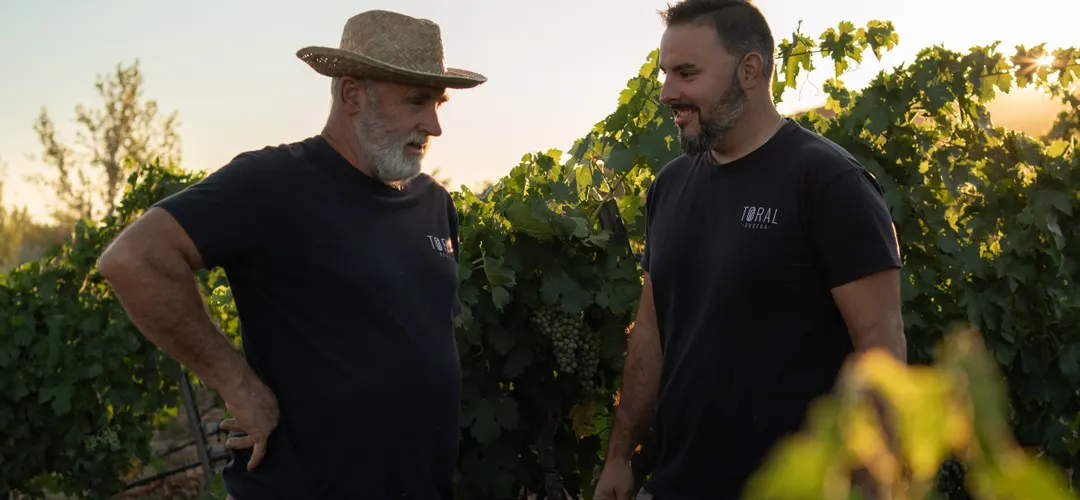 Bodega Toral