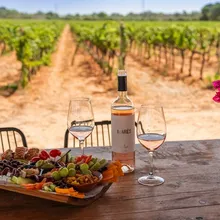 👉 Winery tour and wine tasting