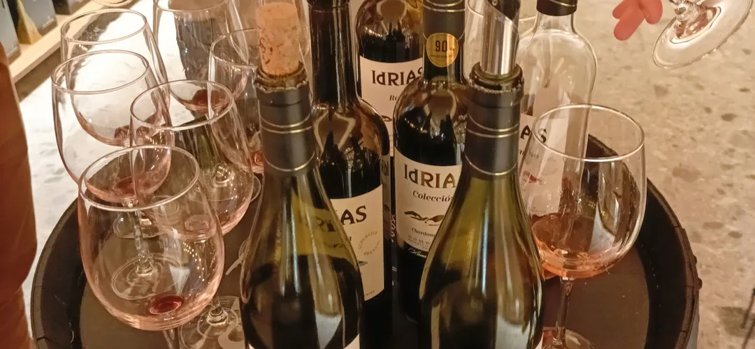 Basic guided tour and tasting of 3 wines