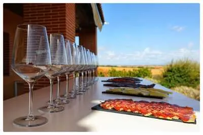 Tasting in the vineyard