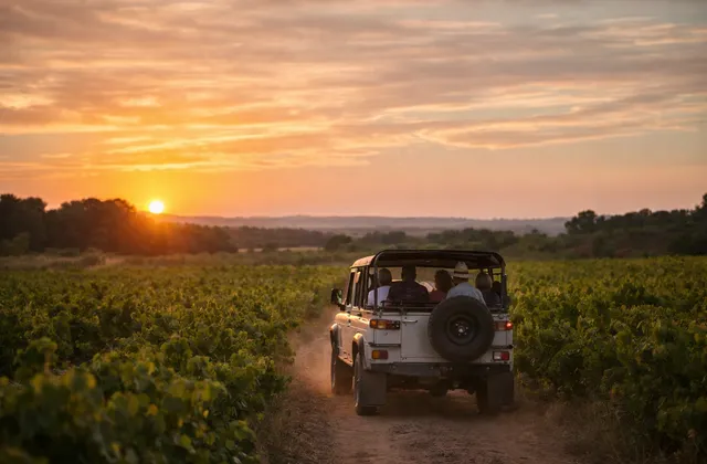 🚙4x4 vineyard tour & wine tasting