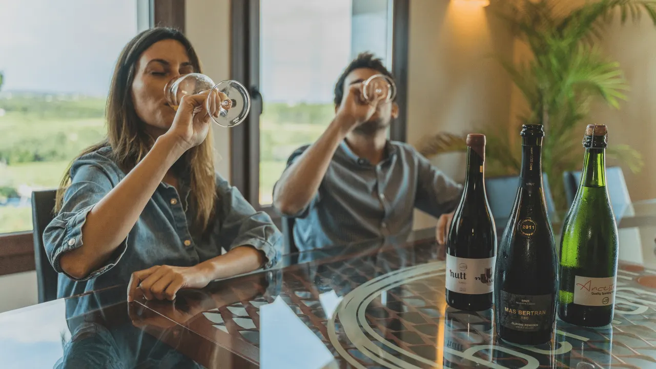 What is wine tourism?