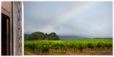 Bodegas Rodeno