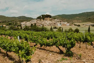 Bodega Eslava
