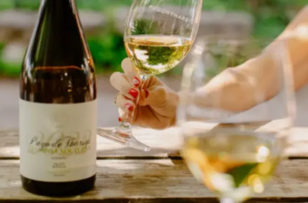 Wine Tasting Your Way