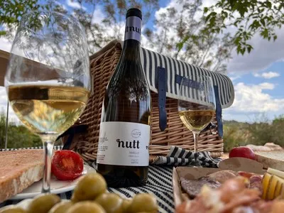 Route, wine & picnic: the perfect plan