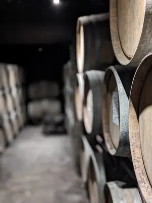 Bodegas Osca