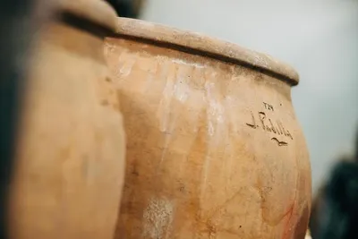 Bodegas Gratias. Familia & Viñedos
