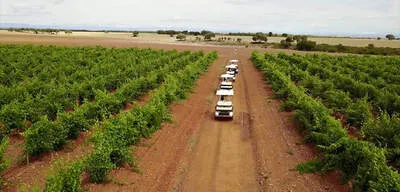 Vile La Finca – Winery & Vineyards.👉 Wine tourism season: from March 1st to November 30th, 2026