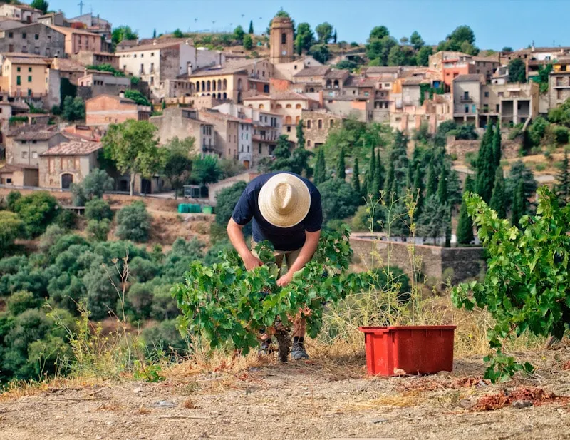 Exploring Wine Tourism in the DOCa Priorat: Discover its Treasures Beyond the Wineries
