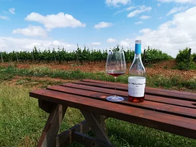 Tasting + cave lunch