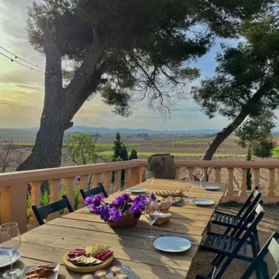 Wine and good times among the vineyards