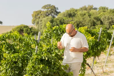 Wine Tasting with Guided Tour