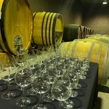 Behind the scenes: Descubre la Bodega en una Cata Privada