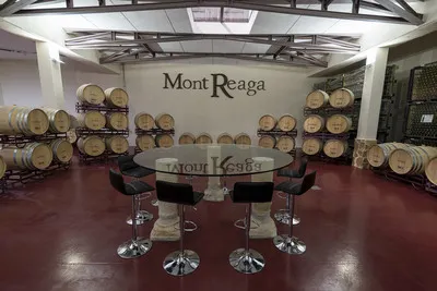 Mont Reaga