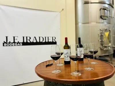 Experience Among the Cellars