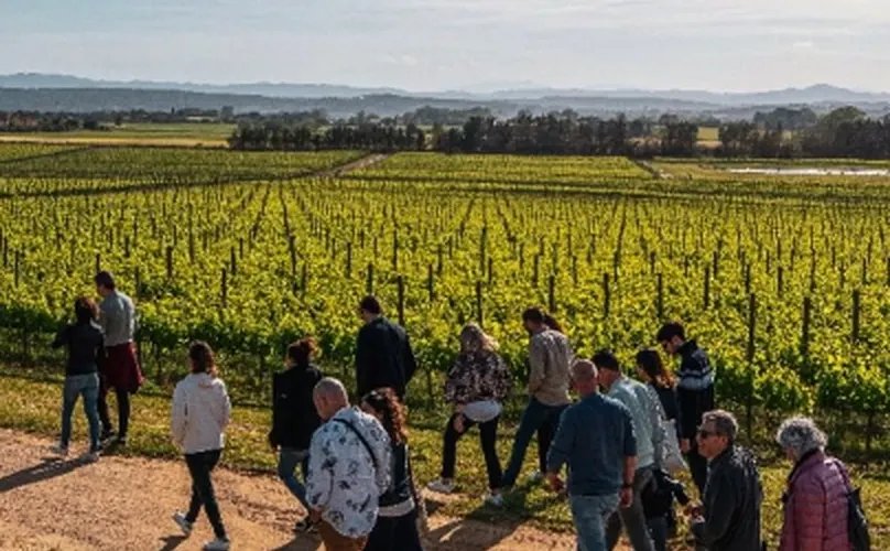 Wine tour and tasting