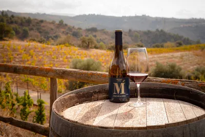Clos Pachem: Discover the winery and taste 4 unique wines.