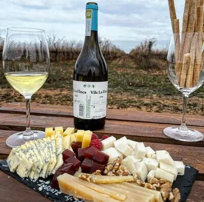 Vile La Finca – Winery & Vineyards.👉 Wine tourism season: from March 1st to November 30th, 2026