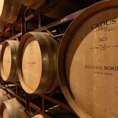 Bordoy Wineries