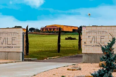 Vile La Finca – Winery & Vineyards.👉 Wine tourism season: from March 1st to November 30th, 2026