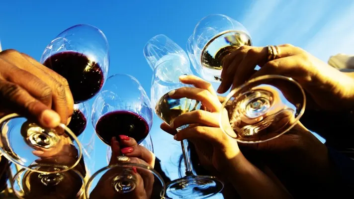 Wine & Tapas Walk through the Vineyard