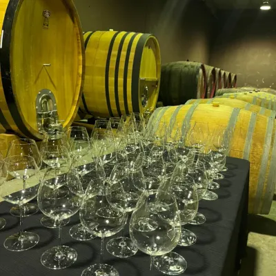 Behind the Scenes: Discover the Winery in a Private Tasting