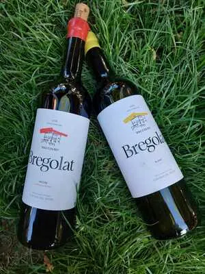 Mas D'en Roy Celler