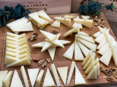 Cheese Immersion