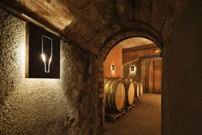 Vins el cep