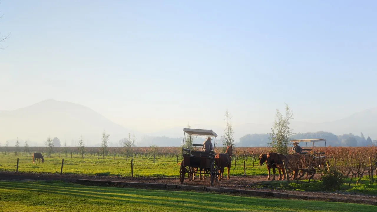 Enolovers Around the World: Discovering the Charm of Wine Tourism in Chile
