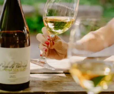 Wine Tasting Your Way