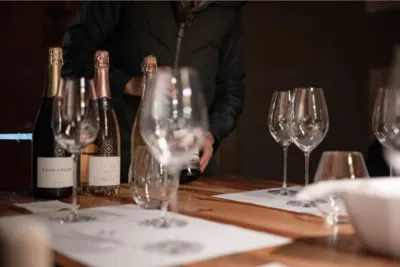 Vins el cep