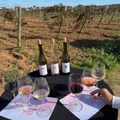 Can Morgan Winery