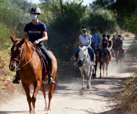 Visit us and explore Gredos on horseback