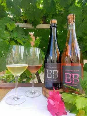 The Wines of Blanca