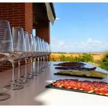 Tasting in the vineyard