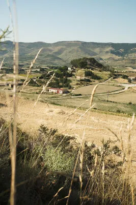 🍷 Eslava and Wine · Santa Criz Site Visit & Wine Tasting