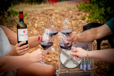 Wine & Landscape