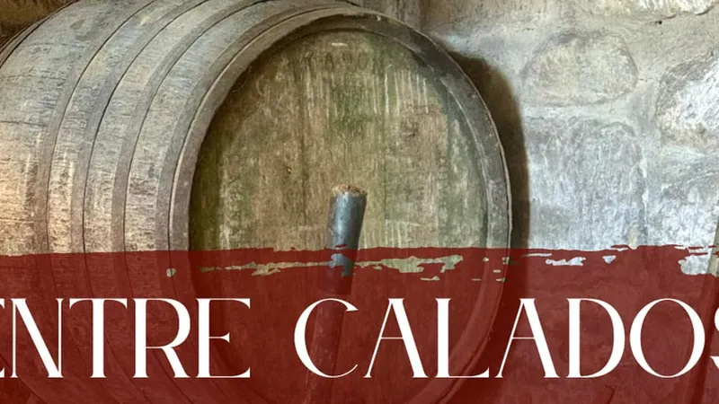 Entre Calados: la cata de vinos más auténtica en Rioja Alavesa