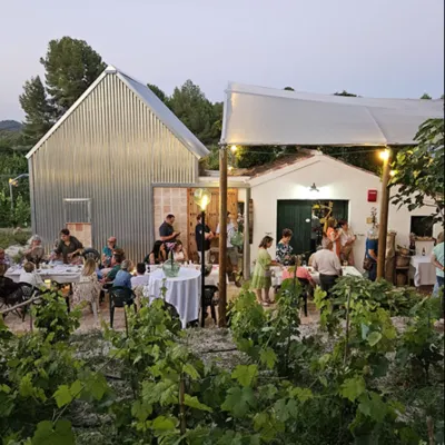 Wine tasting with Murcian lunch