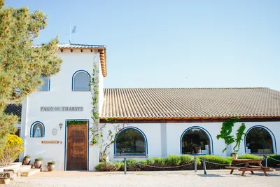 Bodega Pago de Tharsys