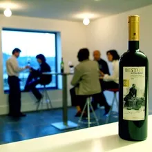 Visita a bodega y cata de 5 vinos
