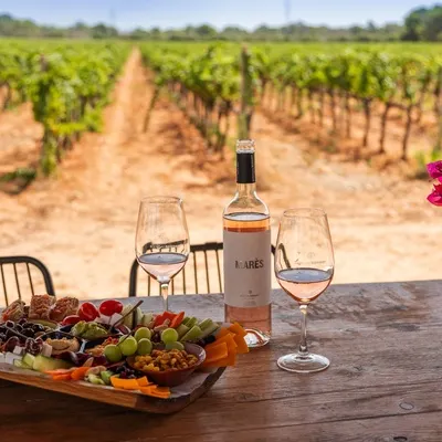 👉 Winery tour and wine tasting