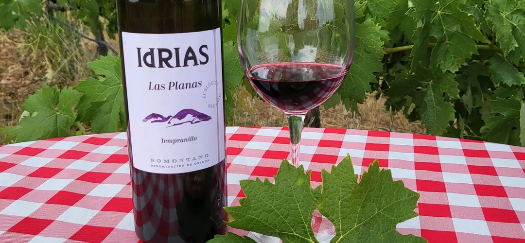 Basic guided tour and tasting of 3 wines