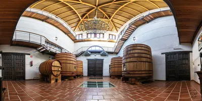 Wine in Every Sense
