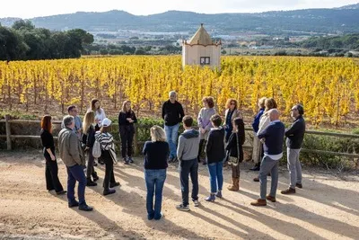 Top Wines
