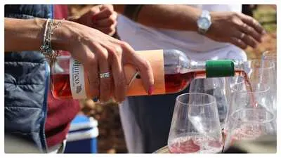 Tasting in the vineyard