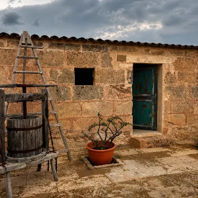 Can Morgan Winery