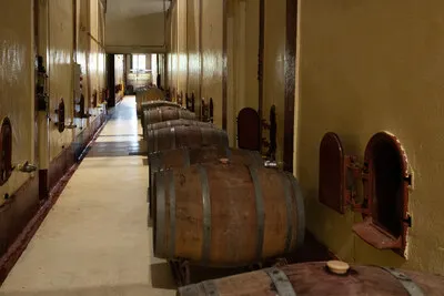 Bodega Eslava
